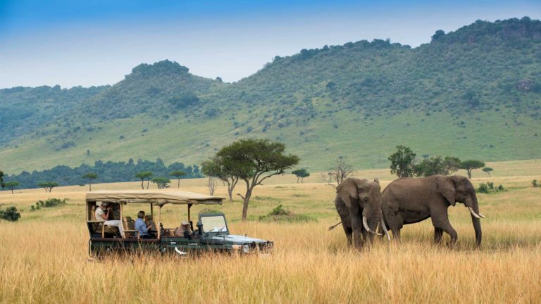 7 Days Bwindi Gorillas & And Masai Mara Safari