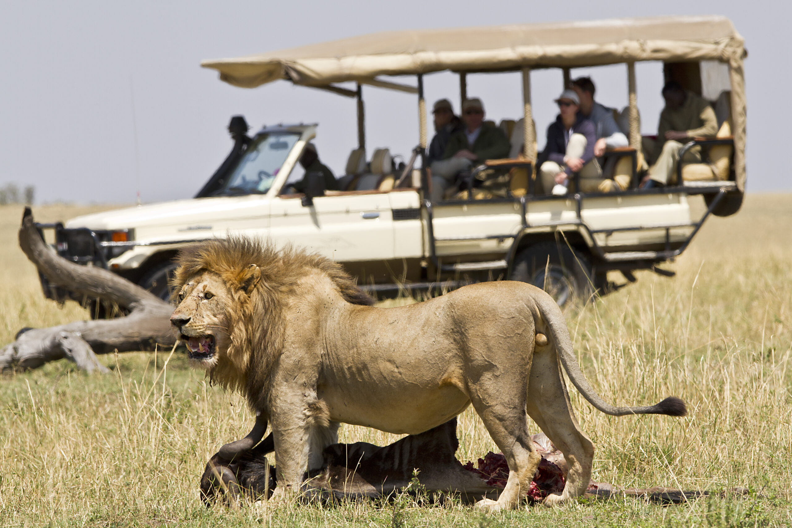 15 Day Luxury Tour In East Africa