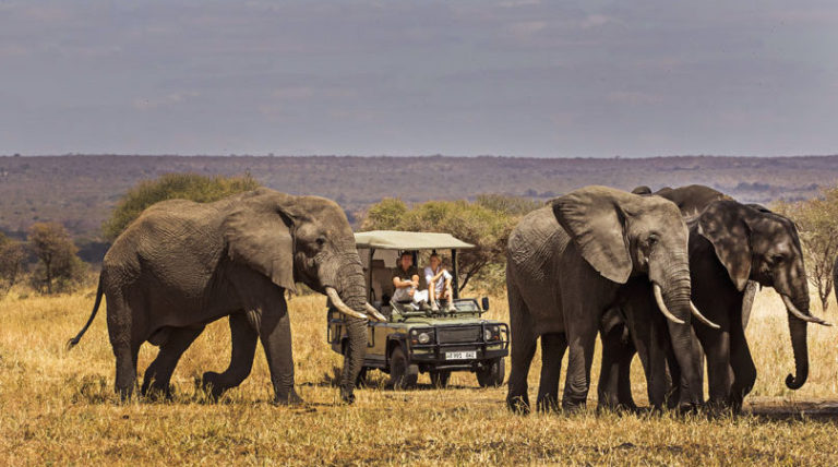 7 Days Epic Northern Tanzania Safari