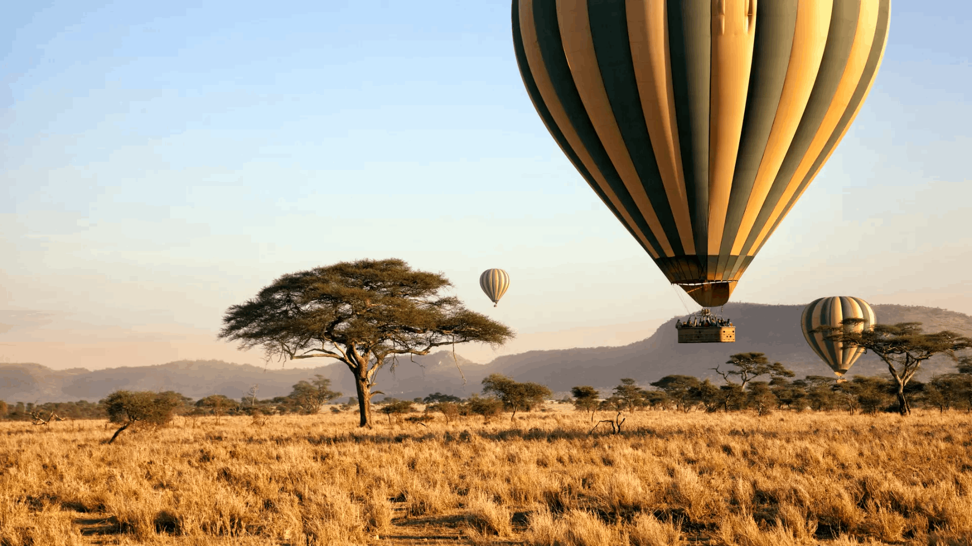 15 Day Luxury Tour In East Africa