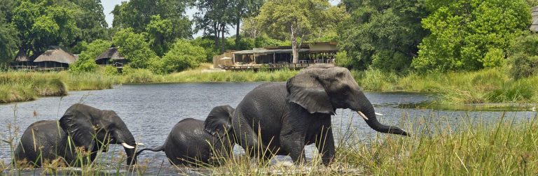 7 Day Tanzania Wildlife And Beach Tour