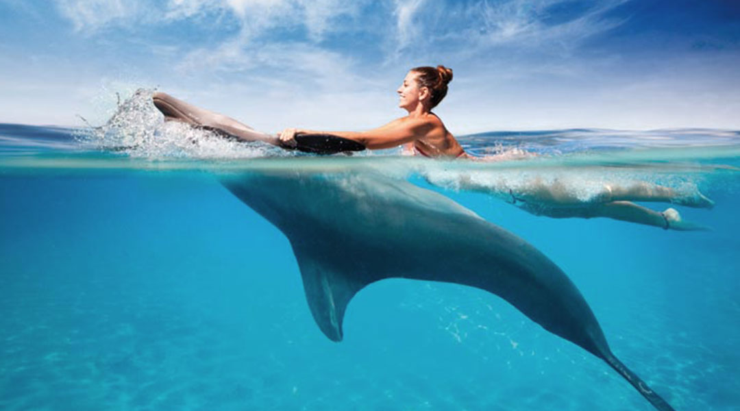 7 Day Best Of Zanzibar Holiday Trip