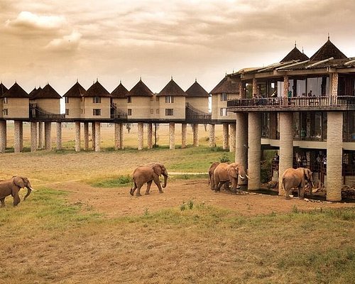 8 Days Mombasa,Tsavo Rail & Road Trip