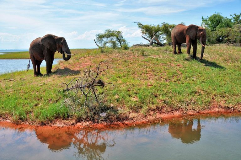 3-Day Victoria Falls Elephant Hills