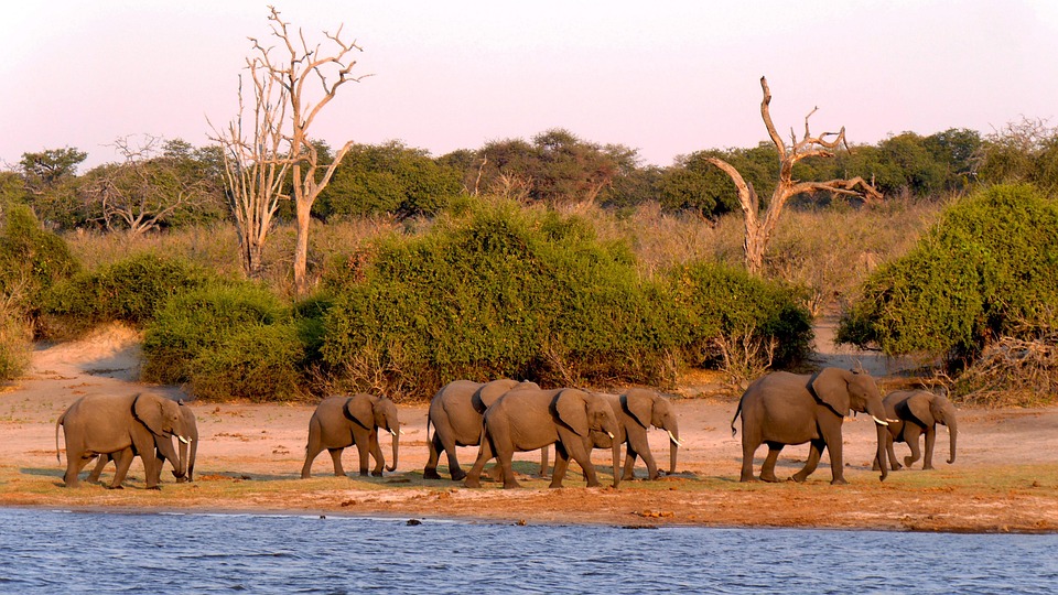 7-Day Affordable Botswana & Victoria Falls