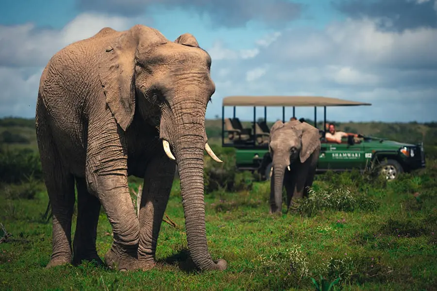 15 Best Places to Visit in South Africa