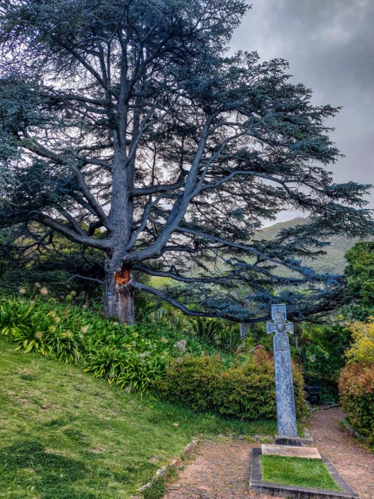 Kirstenbosch National Botanical Gardens