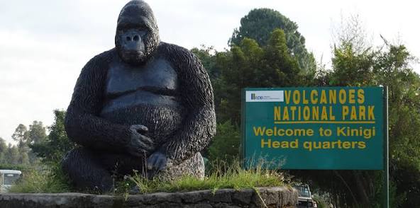 10 Days Rwanda & Uganda Safari