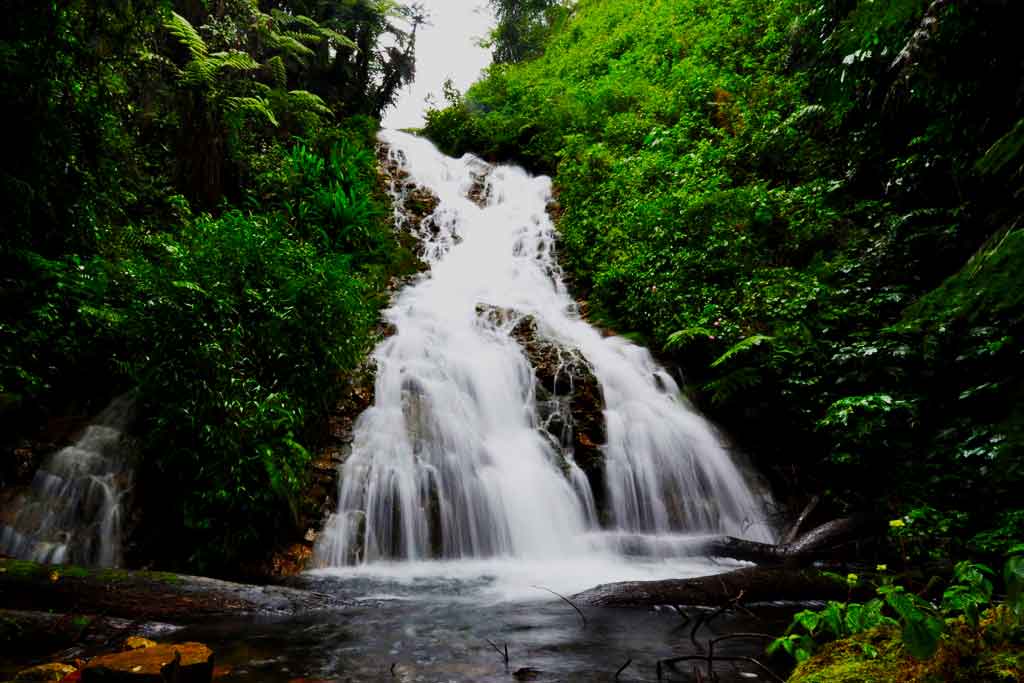 Water Falls of Bwindi Impenetrable National Park