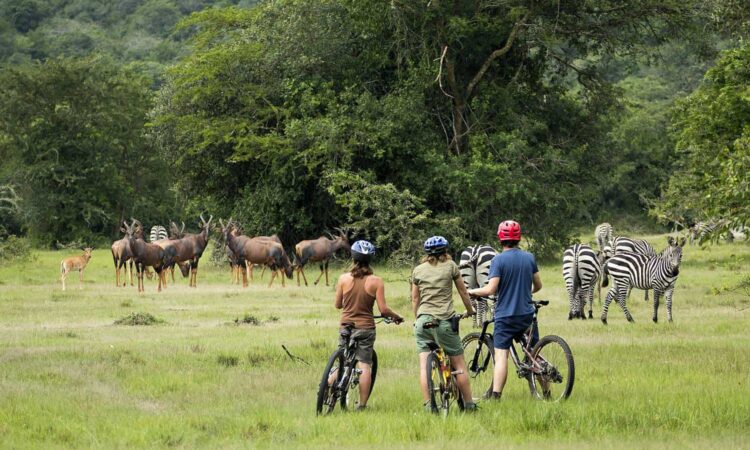 Horse riding Safari in Uganda